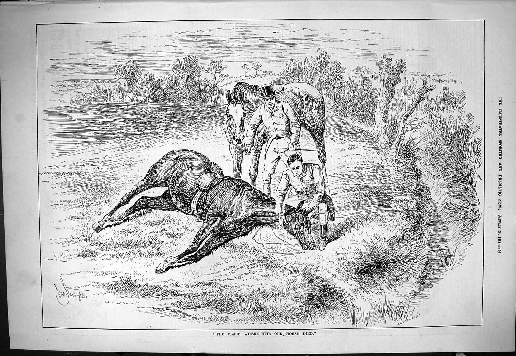 Antique Old Print Sporting Dramatic News 1884 Horse Died Country Field Swain