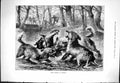 Old Sporting Dramatic News 1884 Otter Hunting Germany Dogs Sport Fine Victorian
