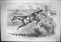 Old Sporting Dramatic News 1884 Top O' The Hunt Hunting Horses Jumpin Victorian