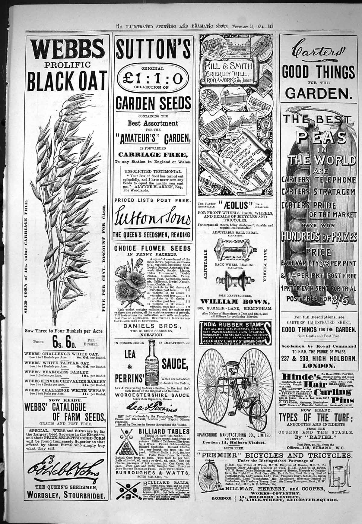 Old Print Sporting Dramatic News 1884 Webbs Seeds Suttons Carters Perrins 19th
