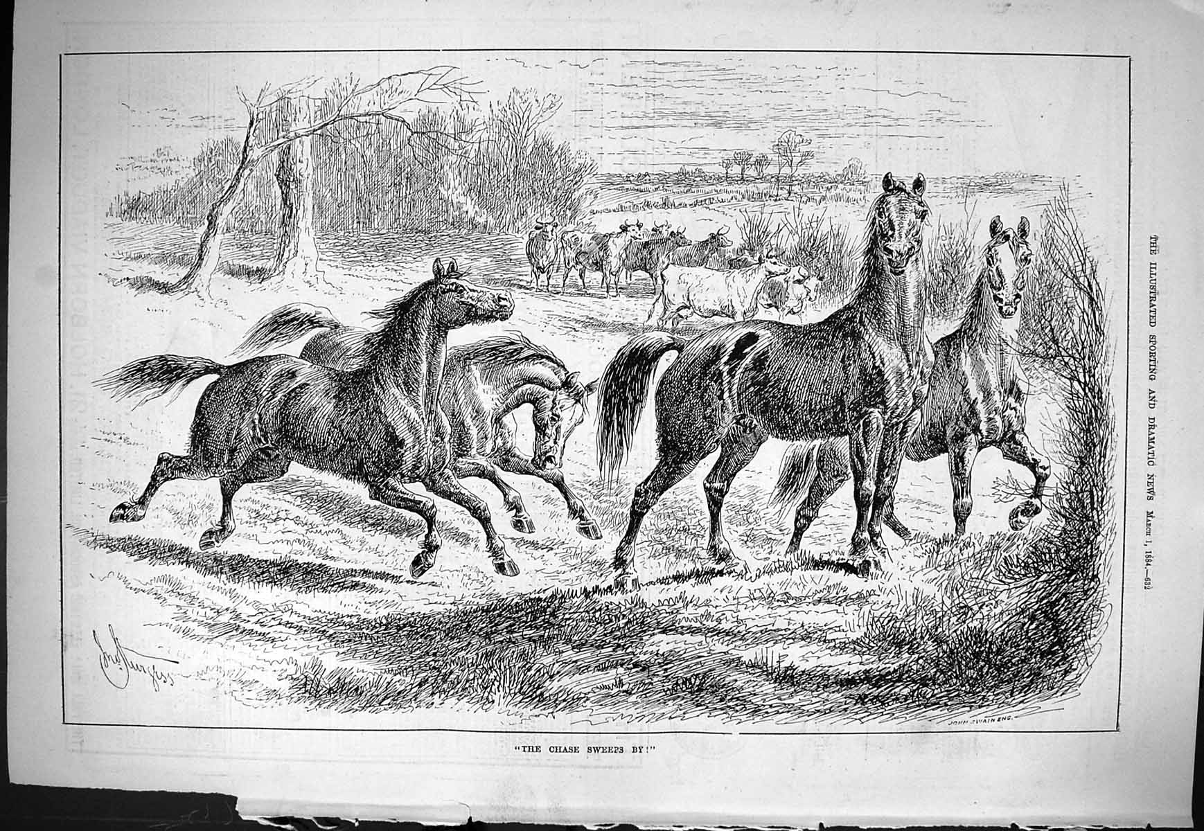 Old Sporting Dramatic News 1884 Horses Cattle Animals Countryside Swa Victorian