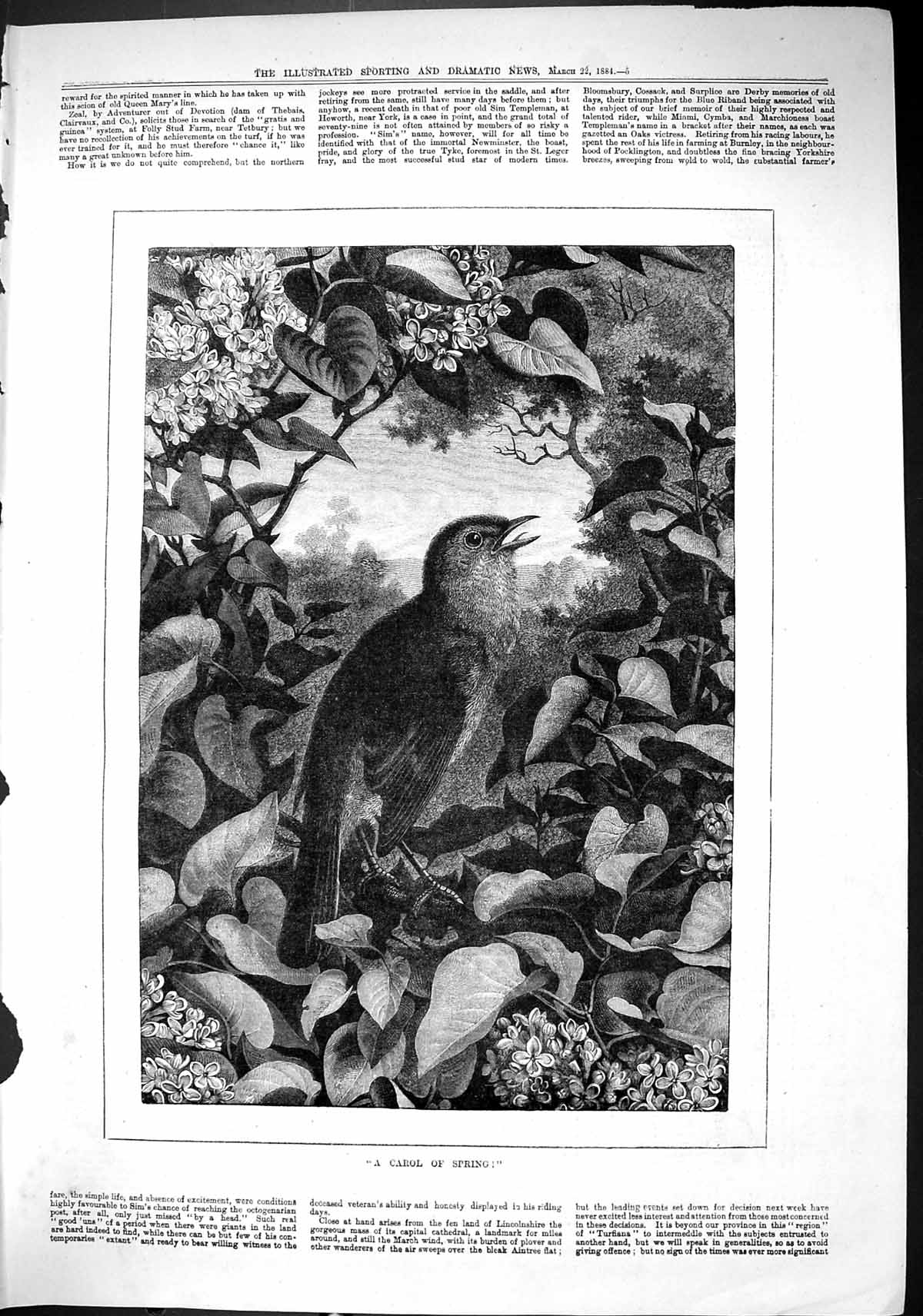 Old Sporting Dramatic News 1884 Carol Spring Birds Singing Trees Fine Victorian