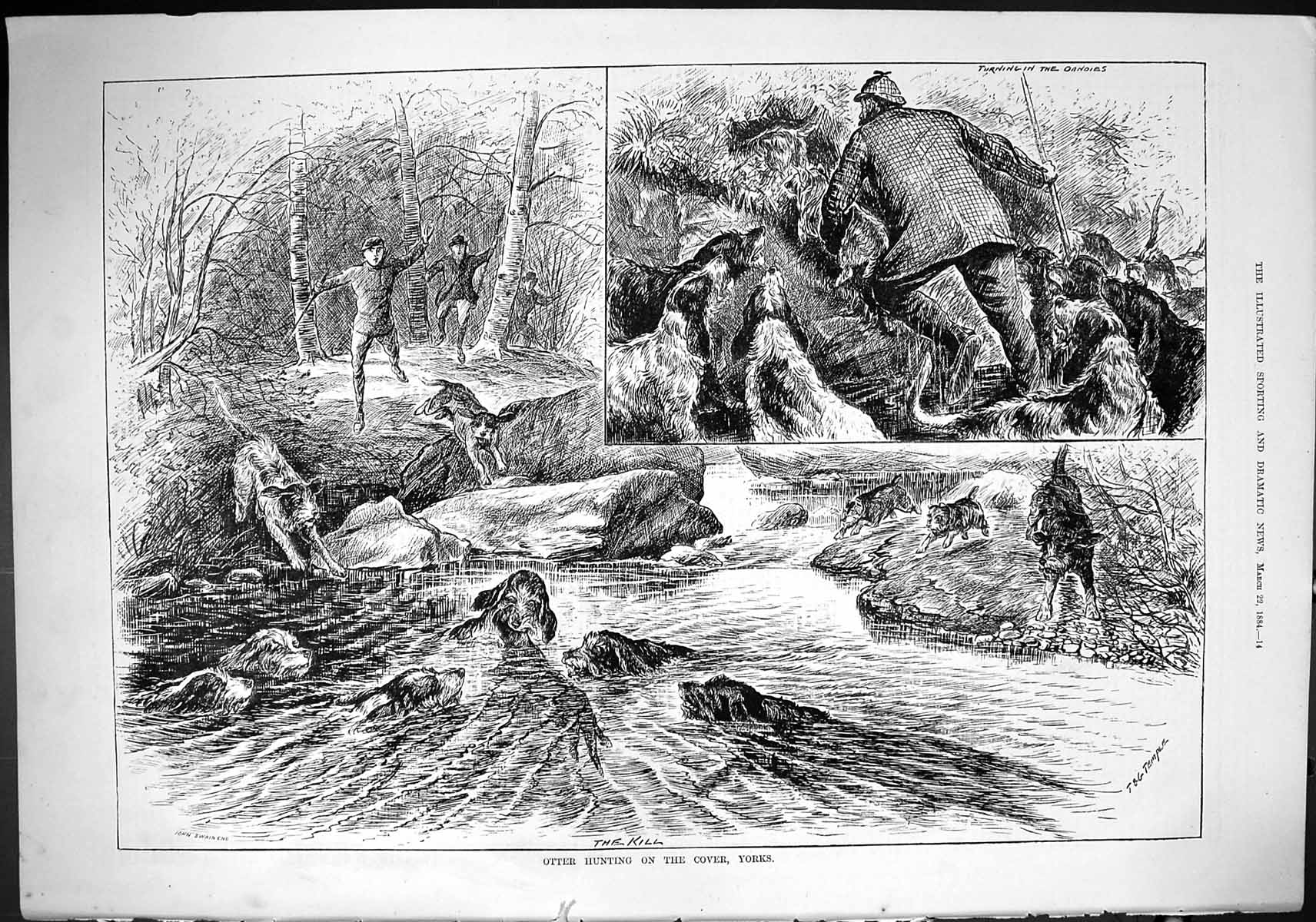 Old Sporting Dramatic News 1884 Otter Hunting Yorkshire Hounds Dogs R Victorian