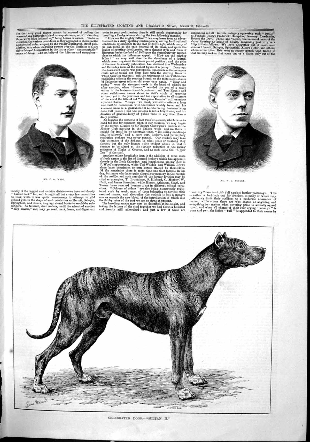 Old Sporting Dramatic News 1884 Wade Penley Celebrated Dog Sultan Swa Victorian