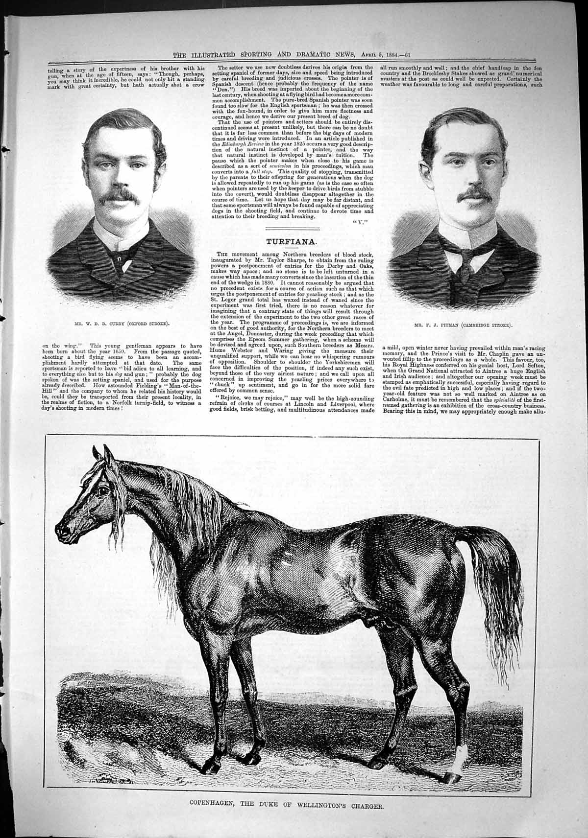 Old Copenhagen Duke Wellington Horse 1884 Curry Oxford Stroke Pitman Victorian