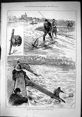 Old Sporting Dramatic News 1884 River Thames Trout Fishing Sunbury We Victorian