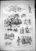 Old Sporting Dramatic News 1884 Camping Nepaul Swarm Bees Monkey Paha Victorian