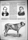Old 1884 Jecks Arthur Budd Dog Forbes-Winslow Mastiff Crown Prince Sw Victorian