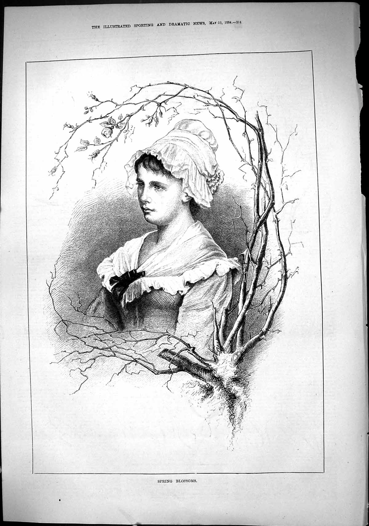 Antique Old Print Sporting Dramatic News 1884 Spring Blossoms Beautiful Lady