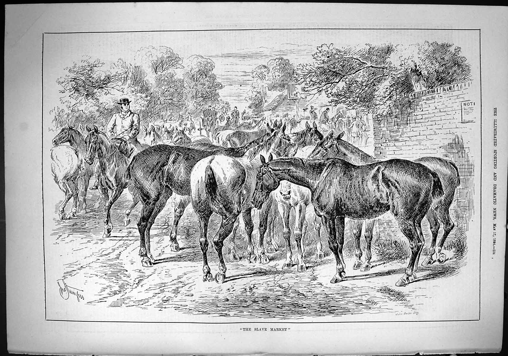 Antique Old Print Sporting Dramatic News 1884 Slave Market Horses Sale Swain