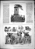 Old 1884 Memorial Benjamin Webster Bulldog Show Crystal Palace Jackso Victorian