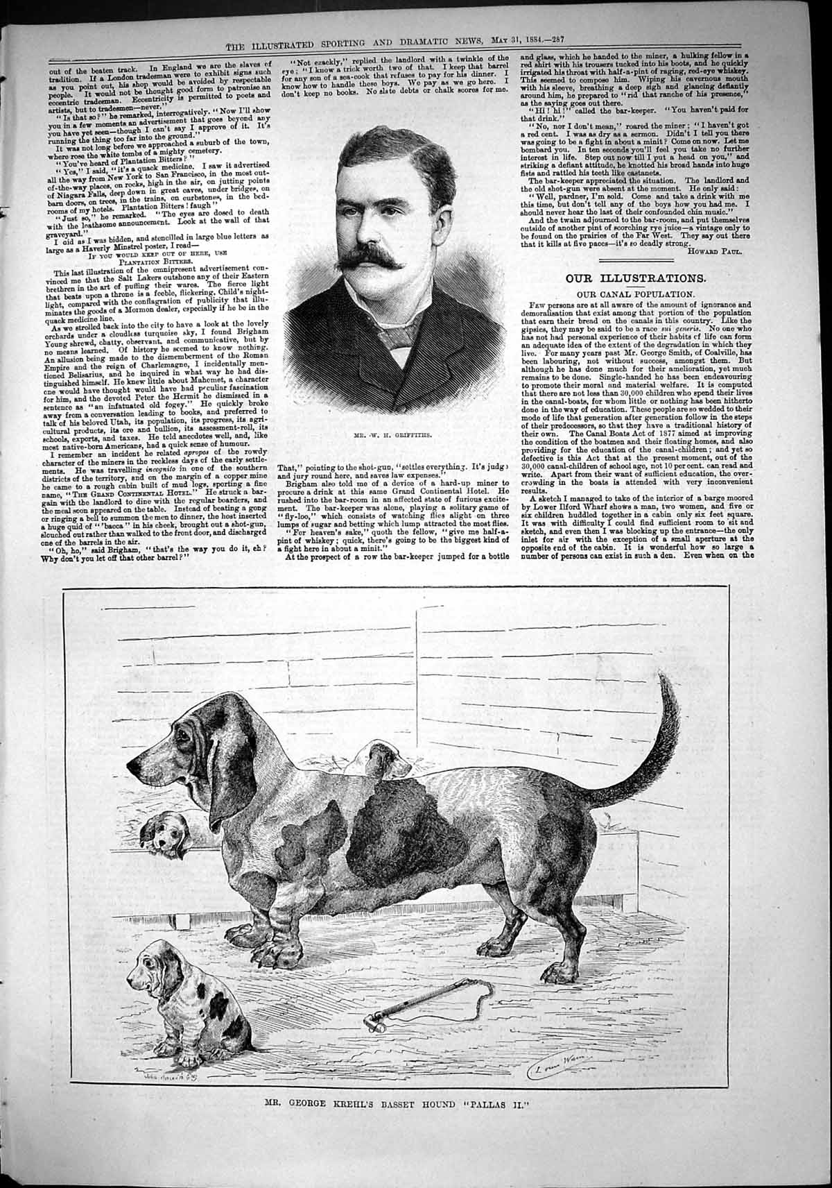 Old Sporting Dramatic News 1884 Griffiths George Krehl Basset Hound D Victorian