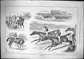 Old Sporting Dramatic News 1884 Oaks Horse Racing Sport Superba Busyb Victorian
