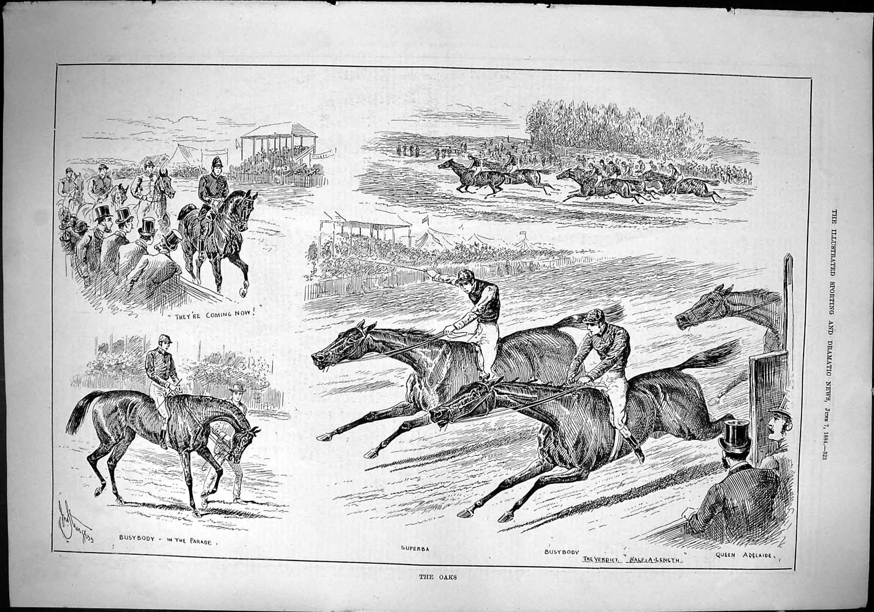 Old Sporting Dramatic News 1884 Oaks Horse Racing Sport Superba Busyb Victorian