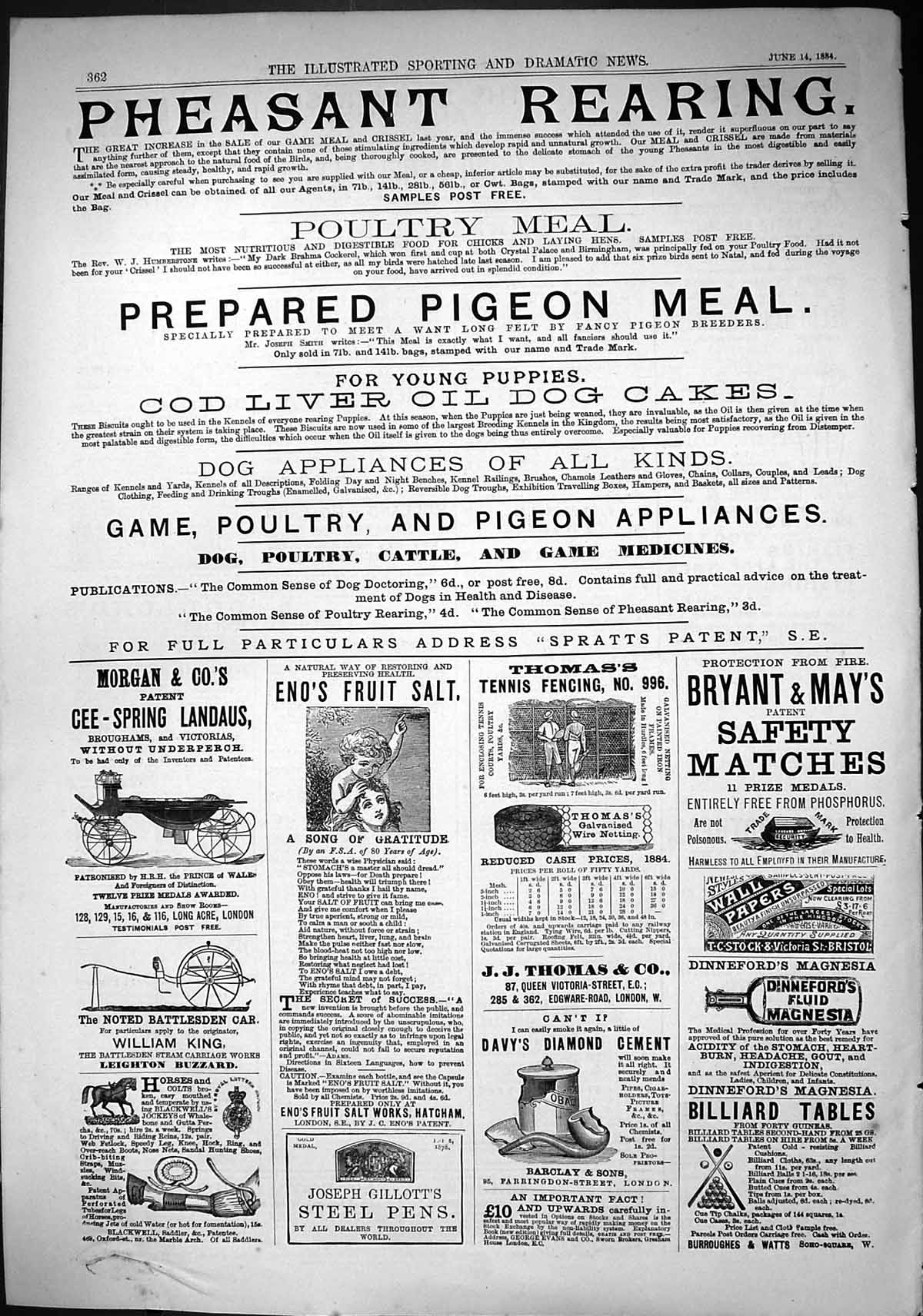 Old Print 1884 Pheasant Rearing Morganlandaus Eno'S Salt Billiard Tables 19th