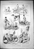 Old 1884 Hound Dog Show Peterborough Whitmore Trimmer Bonnyfield Terr Victorian