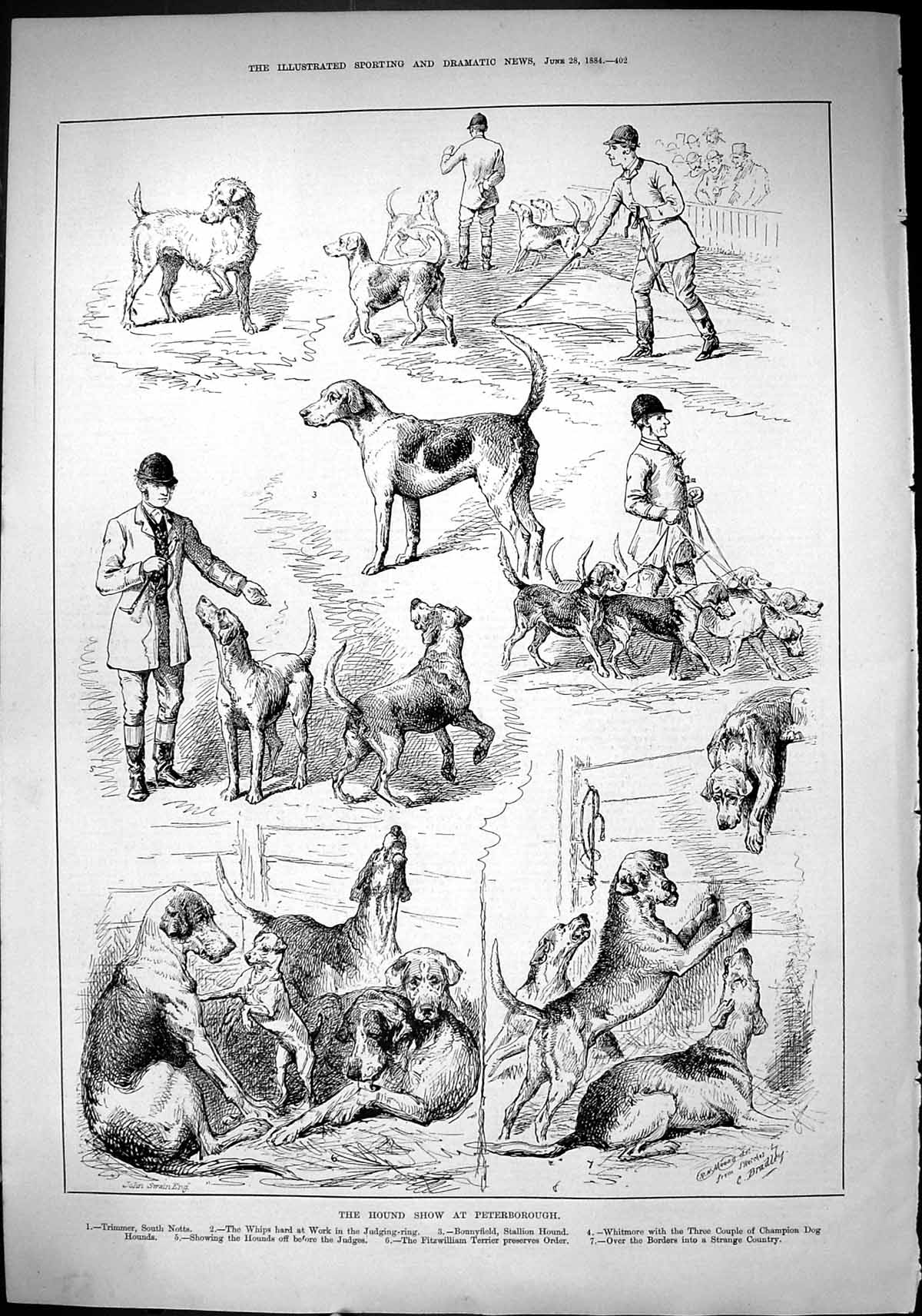 Old 1884 Hound Dog Show Peterborough Whitmore Trimmer Bonnyfield Terr Victorian