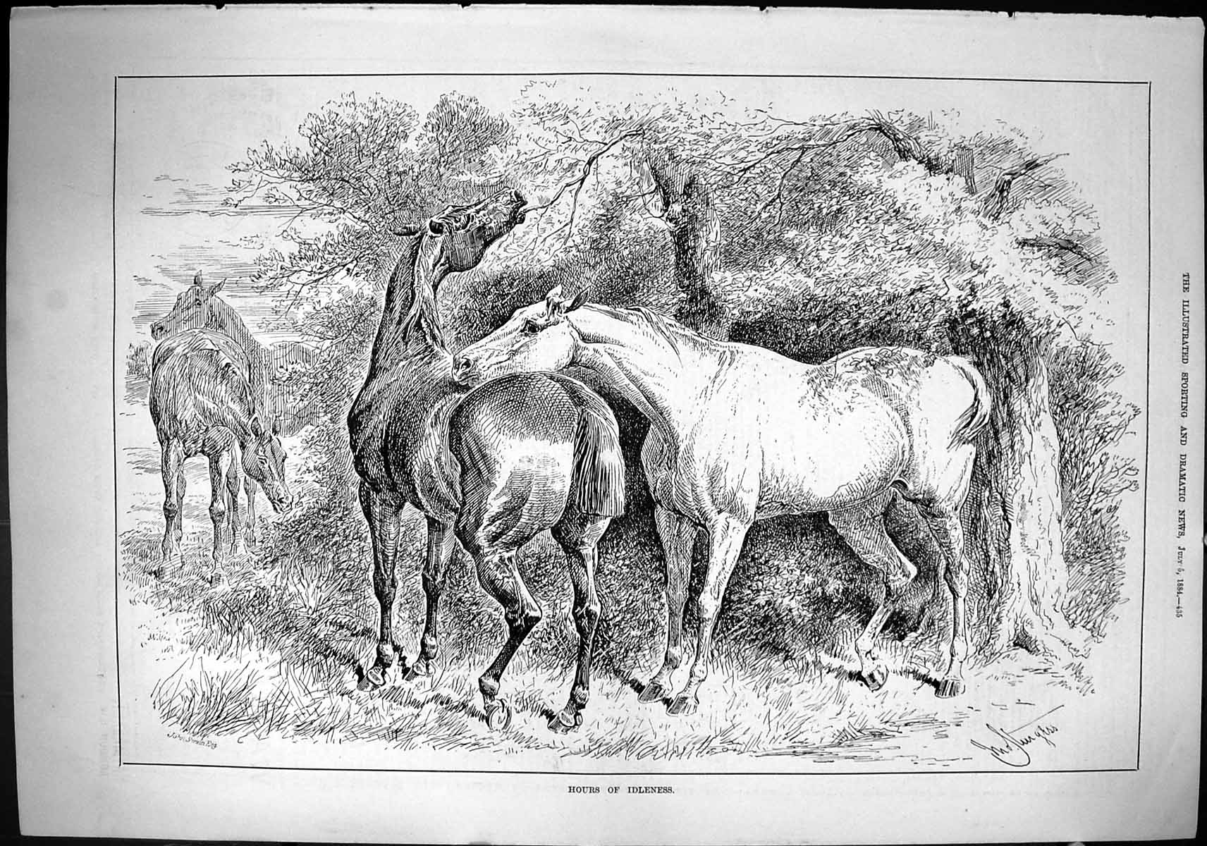 Old Sporting Dramatic News 1884 Hours Idleness Horses Field Countrysi Victorian
