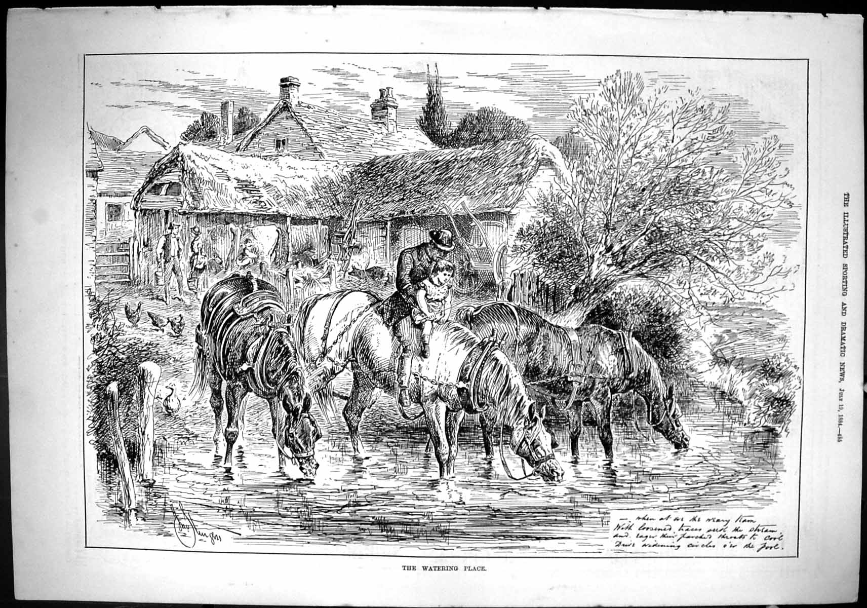 Old Antique Print Sporting Dramatic News 1884 Watering Place Horses River 19th