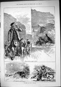 Old Sporting Dramatic News 1884 Grouse Hunting Twelfth Hounds Dogs Bu Victorian