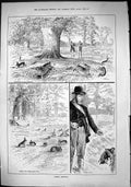 Old Sporting Dramatic News 1884 Rabbit Shooting Hunting Sportsmen Hou Victorian