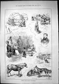 Old Sporting Dramatic News 1884 Russian Camp Healtheries Horse Hounds Victorian