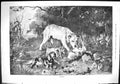 Old Sporting Dramatic News 1884 Fine Art Hounds Dogs Hare Hunting Spo Victorian
