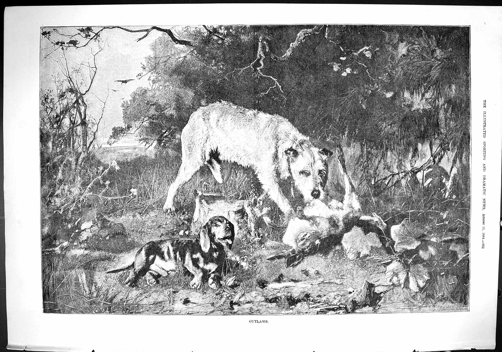 Old Sporting Dramatic News 1884 Fine Art Hounds Dogs Hare Hunting Spo Victorian