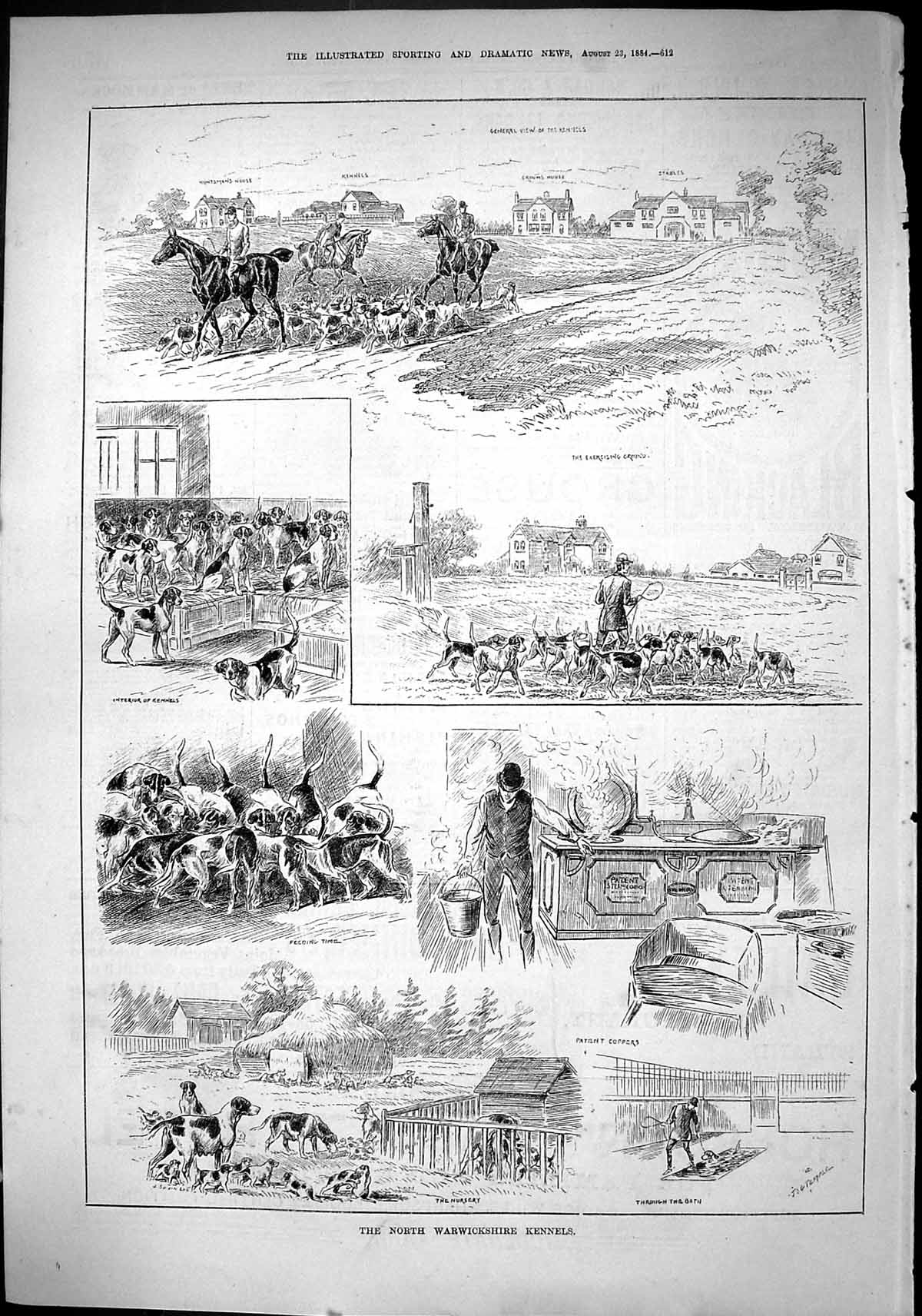 Old Sporting Dramatic News 1884 Warwickshire Kennels Hounds Dogs Nurs Victorian