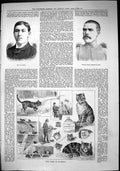 Old Sporting Dramatic News 1884 Brain William Beach Sculler Cats Home Victorian