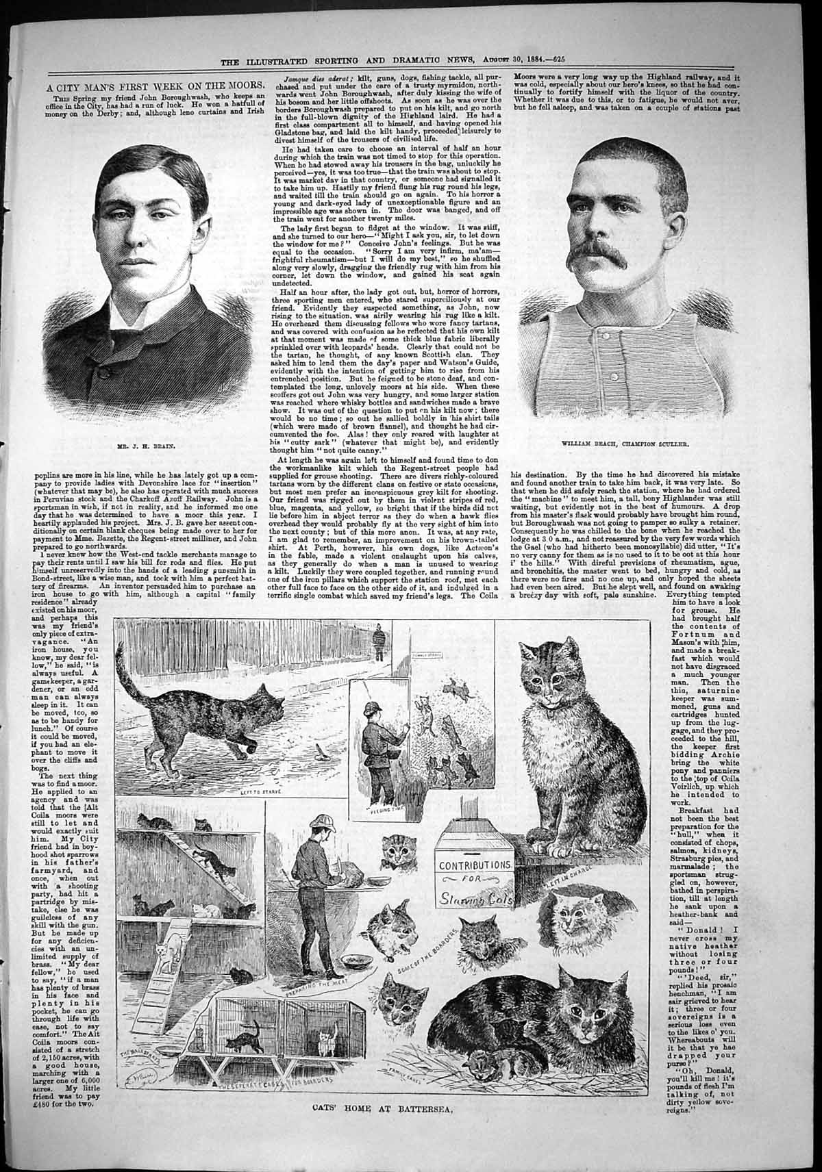 Old Sporting Dramatic News 1884 Brain William Beach Sculler Cats Home Victorian