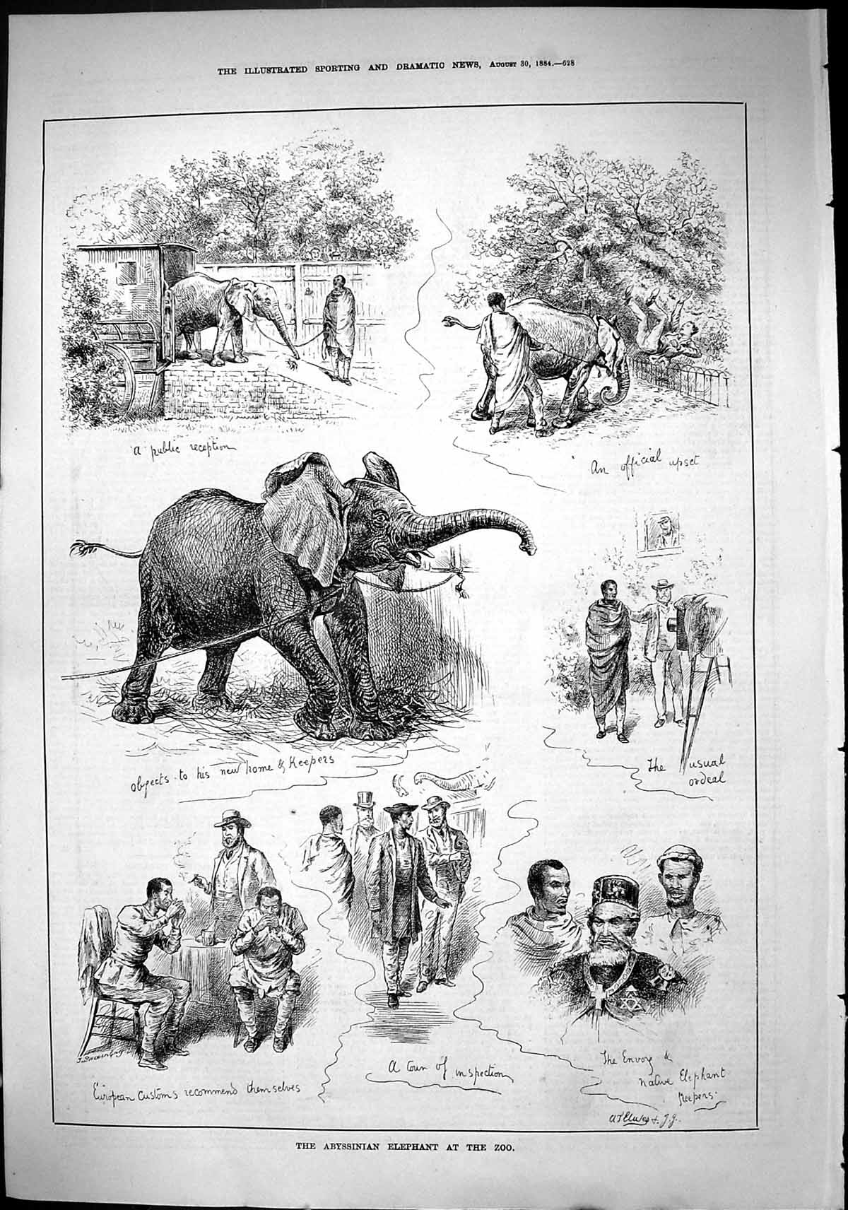 Old Sporting Dramatic News 1884 Abyssinian Elephant Zoo Envoy Native Victorian
