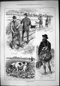 Old Sporting Dramatic News 1884 Patridge Shooting Hound Dogs Birds Hu Victorian