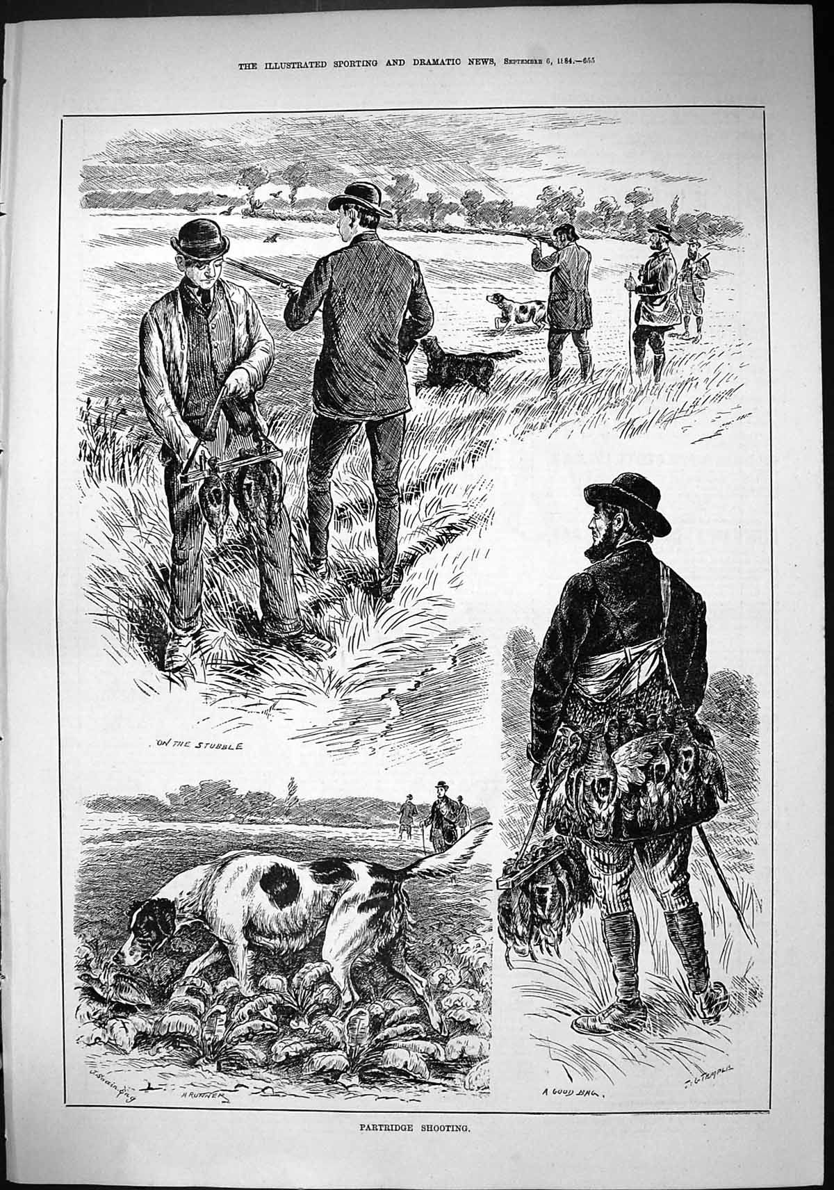 Old Sporting Dramatic News 1884 Patridge Shooting Hound Dogs Birds Hu Victorian