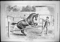 Old Sporting Dramatic News 1884 Horse Trainer Making Timber Jumper Ol Victorian