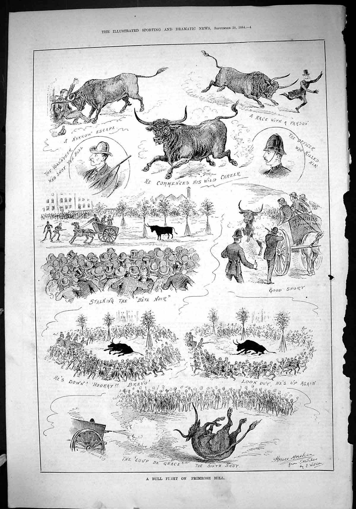 Old 1884 Bull Fight Primrose Hill Police Officer Sport Coup De Grace Victorian