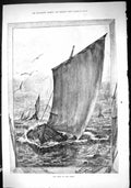 Original Old Antique Print 1884 First Fleet Sailing Yachts Sea Birds David Carr