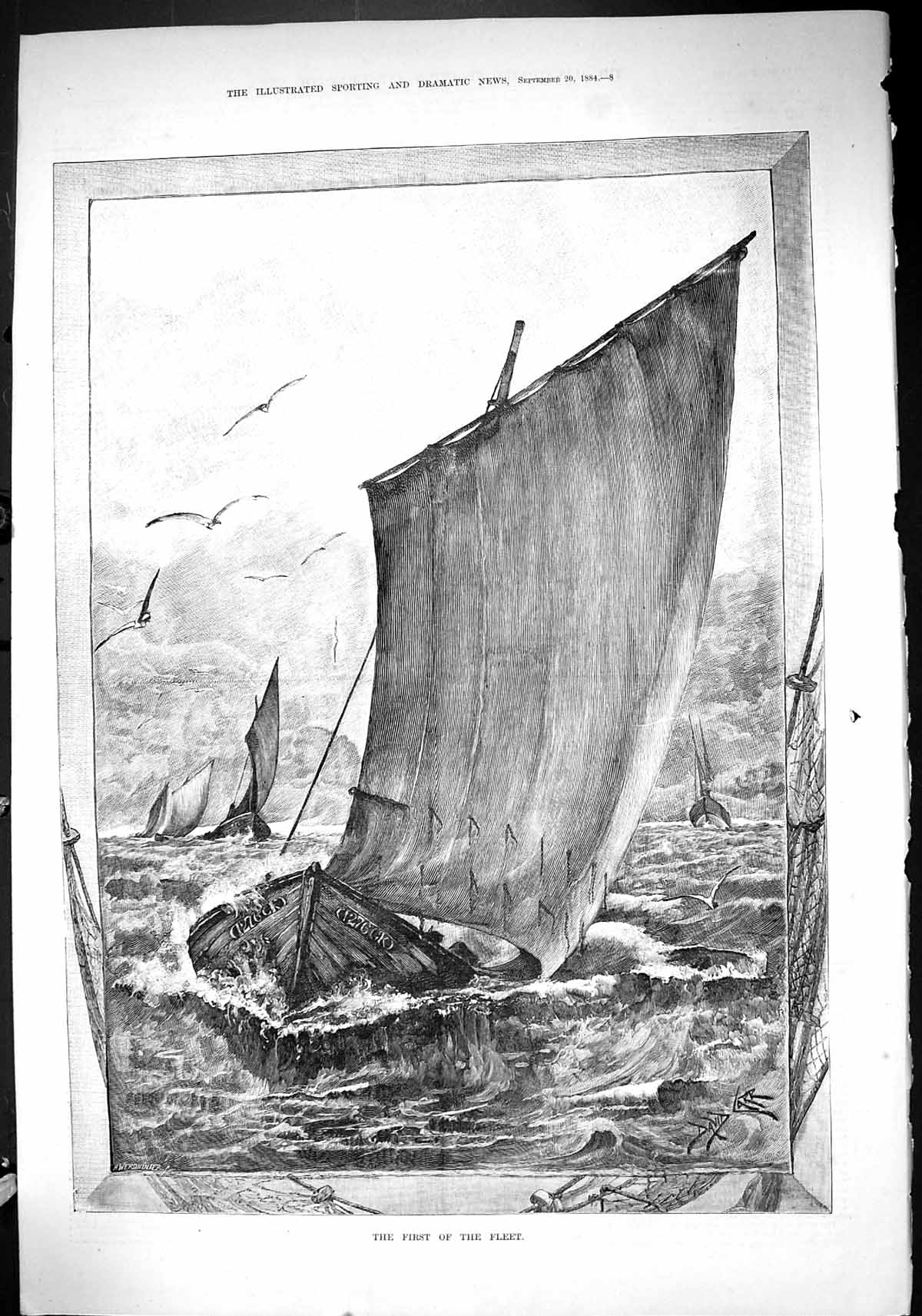 Original Old Antique Print 1884 First Fleet Sailing Yachts Sea Birds David Carr