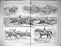 Old Damaged 1884 Doncaster Horse Racing Sport St. Leger Day Fern Sand 0 19th