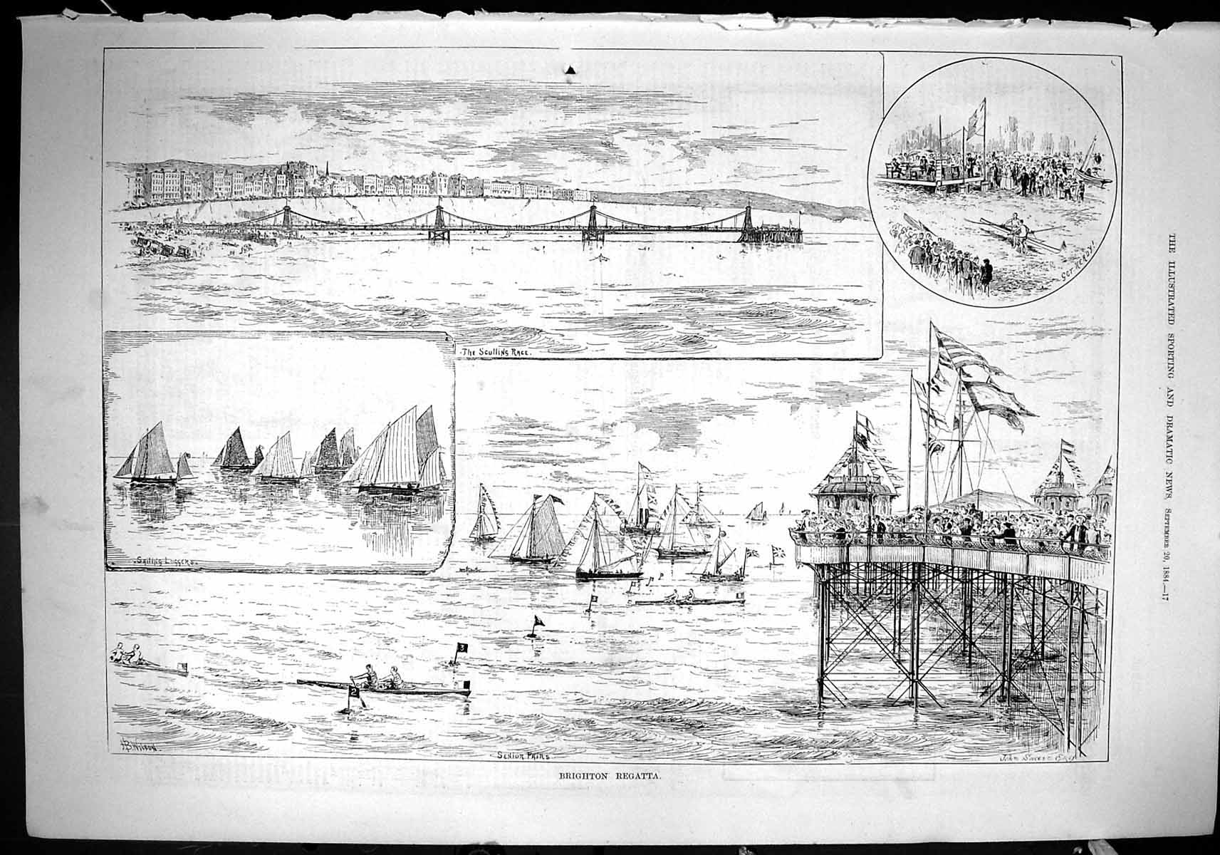 Old 1884 Brighton Regatta Senior Peirs Scullins Race Sailing Luggers Victorian