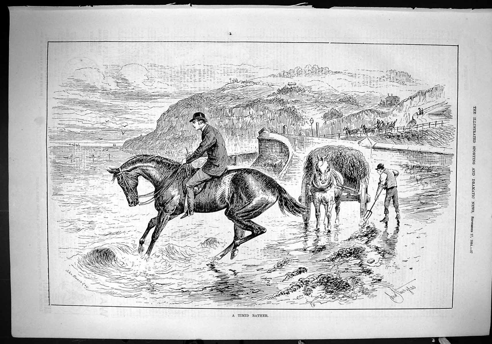 Antique Old Print 1884 Timid Bather Horse Beach Seaside Seaweed Cart Swain 19th