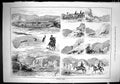 Old 1884 Colonial Sports Fishing Hunting Shooting Walrond Ranch Swain Victorian