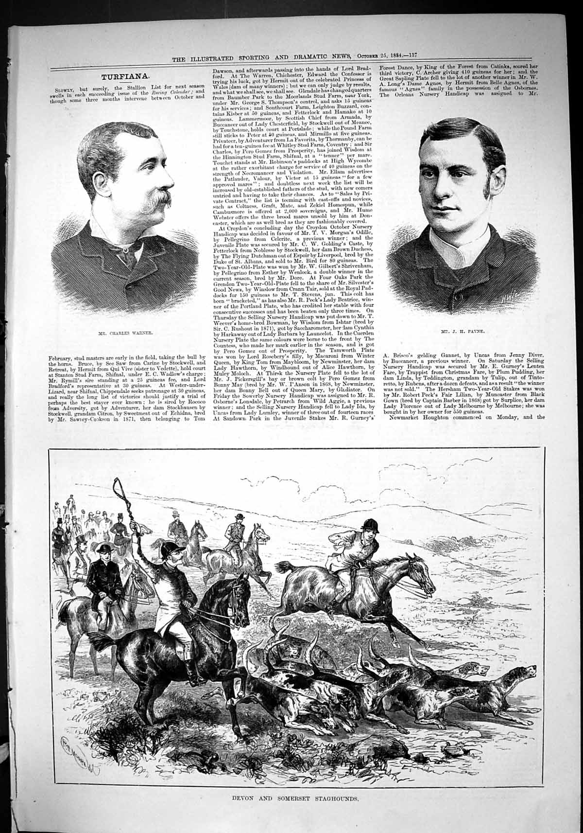 Old 1884 Payne Charles Warner Devon Somerset Staghounds Hunting Horse Victorian