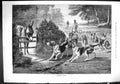Antique Old Print 1884 Morning Walk Hunting Hounds Dogs Exercise Donkey Field