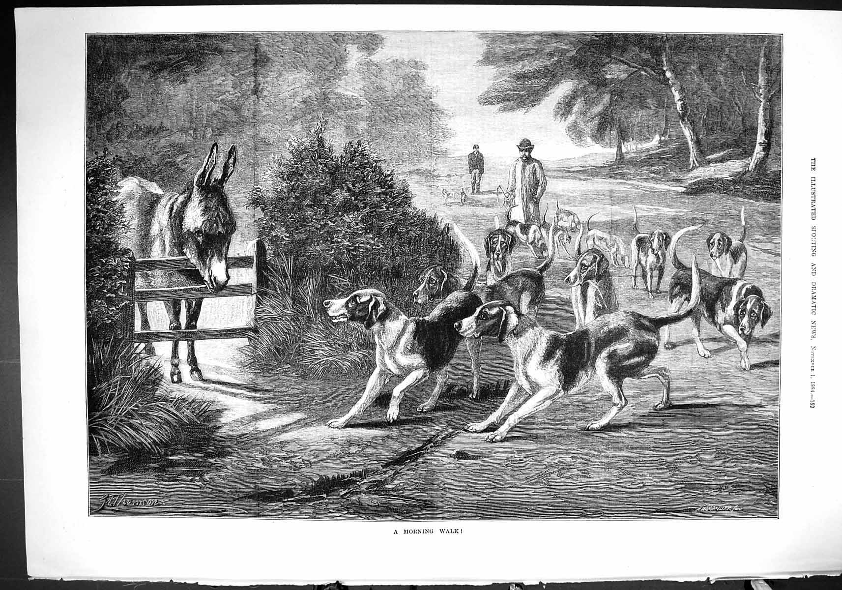 Antique Old Print 1884 Morning Walk Hunting Hounds Dogs Exercise Donkey Field