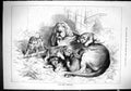 Original Old Antique Print 1884 Rising Generation Hounds Dogs Puppies Moore
