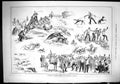 Old 1884 Military Hare Coursing Meeting Johnstown Ireland Hounds Dogs Victorian