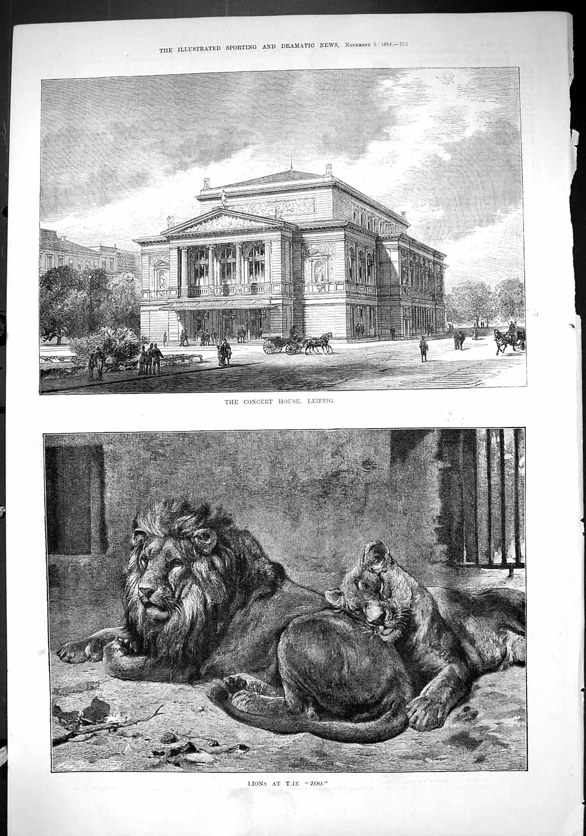 Antique Print 1884 Concert House Leipzig Architecture Lions Zoo Wild Animls