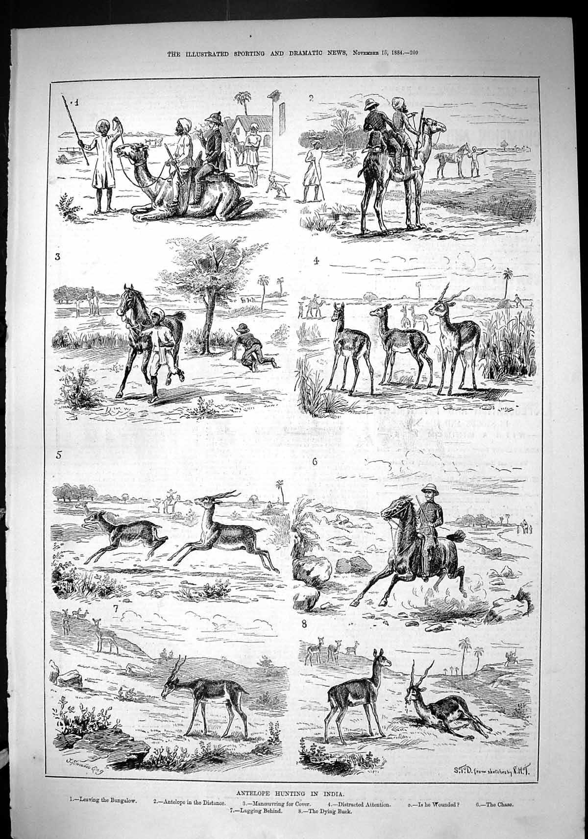 Old 1884 Antelope Hunting India Camels Sport Dying Buck Huntsmen Hors Victorian
