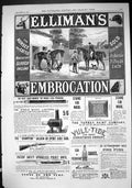 Old Print 1884 Ellimans Embrocation Magic Lantern Lea Perrins Sauce Furs 19th